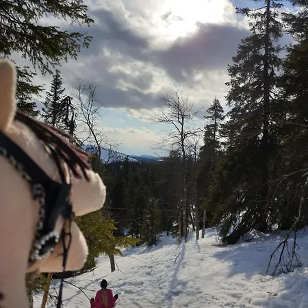 Rukahillchalet4 In - Out *