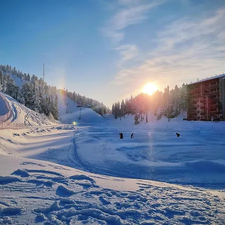 Rukahillchalet4 In - Out Ruka